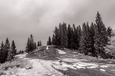 Dağlarda boş bir tahta yolun güzel bir görüntüsü.