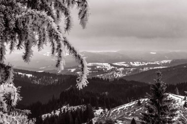Karla kaplı ağaçlarla kaplı kış manzarası.