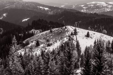 Ağaçlı siyah beyaz dağ manzarası