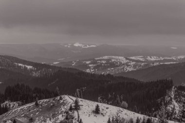 Karpat Dağları 'nın kış mevsiminde siyah beyaz manzarası