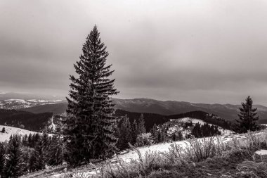 Karpatlar 'da kış dağları