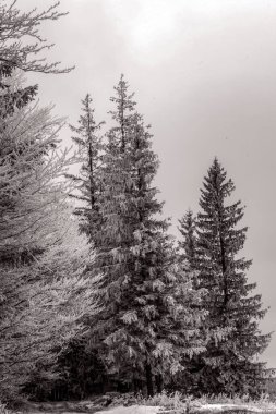 Dağlarda kış manzarası