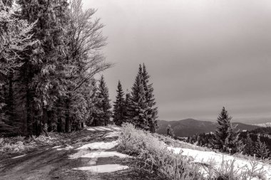 Dağlardaki güzel kış manzarası