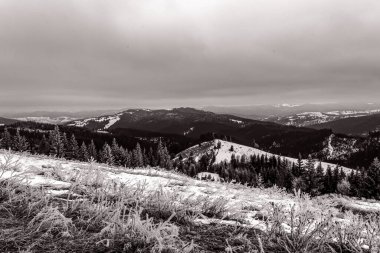 Karpat Dağları 'nın güzel manzarası