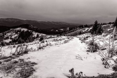Kışın Karpat Dağları