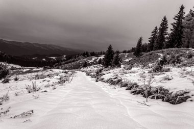 Karla kaplı ağaçlarla kaplı kış manzarası