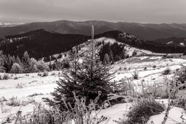 Dağlardaki karlı kış manzarasının siyah beyaz fotoğrafı