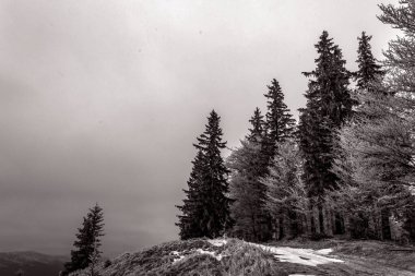 Siyah ve beyaz kış manzarası Ağaçlar ve dağlarla