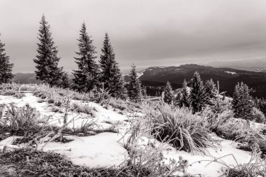 Ormandaki dağlarda karla kaplı ağaçlarla kaplı kış manzarası