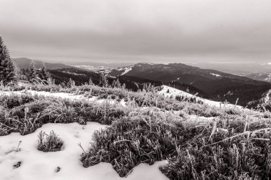 Güzel kış dağ manzarası