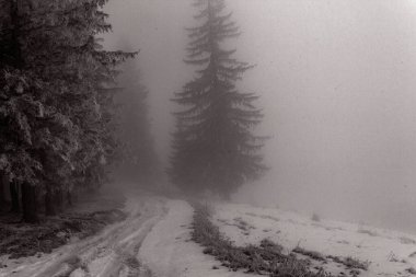 Karpatlar 'da kış manzarası. siyah ve beyaz