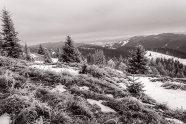 Karla kaplı ağaçlarla kaplı kış manzarası