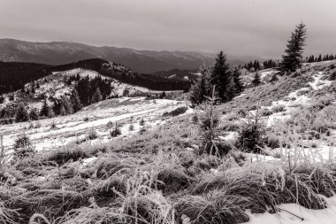 Karpat Dağları kış