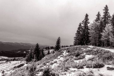 Karla kaplı ağaçlarla kaplı kış manzarası
