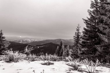 Karla kaplı ağaçlarla kaplı kış manzarası