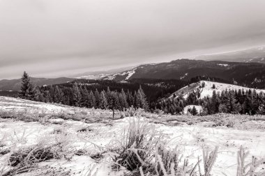 bir dağ manzarasının siyah beyaz fotoğrafı