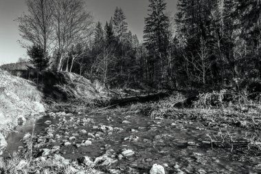 Kayalık dağın içinden akan bir nehir.