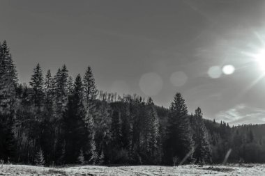Güneş Colorado dağlarının üzerinde parlıyor.