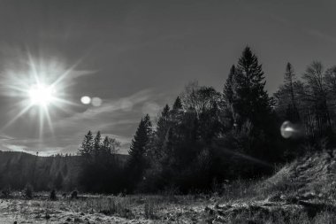 Güneş ışınları dağda, ormanda, Karpatlar 'da.