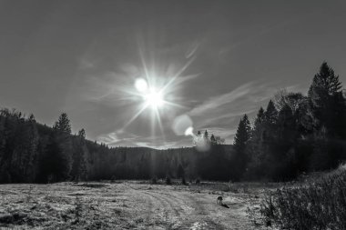 Ormanlı bir dağ manzarasının siyah beyaz fotoğrafı