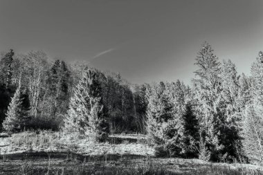 Dağlarda kış manzarası