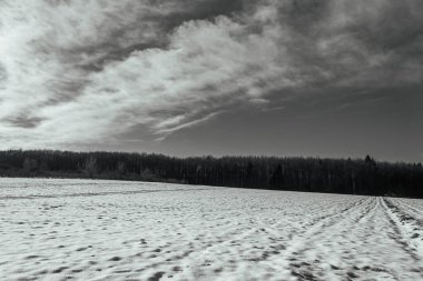 Kırsal kesimdeki çayırların ve tarlaların kış manzarası