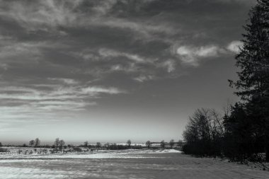 Kışın karla kaplı ağaçlar ve tarlalar