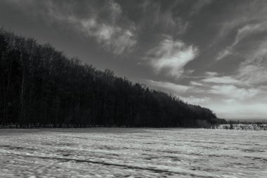 Ormanda kış manzarası