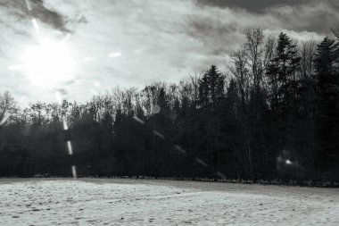 Kış manzarası. Kış manzarası.