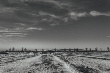 Doğanın güzel manzarası