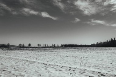 siyah beyaz kar tarlası