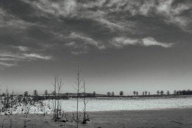 Kar ve ağaçlarla kaplı kış manzarası