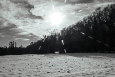 Kar ve ağaçlarla dolu güzel kış manzarası