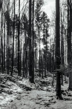 Dağlardaki güzel kış manzarası.