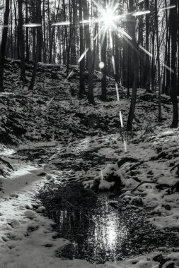 Kışın donmuş nehir