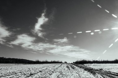 Karla kaplı yollar ve kışın ağaçlar