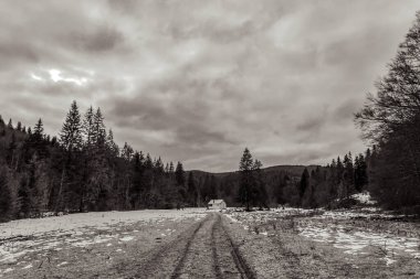 Dağlardaki ormanda güzel bir yol manzarası.