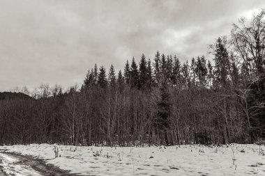 Arkasında dağ olan kış manzarası