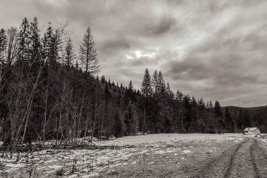 Karla kaplı ağaçlarla kaplı güzel kış manzarası
