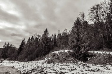 Karla kaplı ağaçlarla kaplı güzel kış manzarası