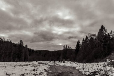 Karpatlar 'daki dağ sırasının kış manzarası.