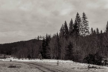 Dağların güzel manzarası