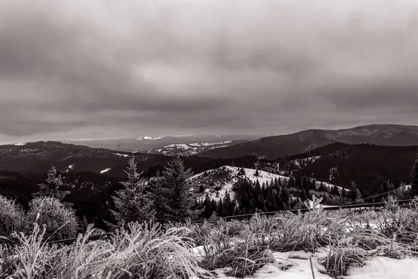 Ağaçlarla ve dağlarla kaplı kış manzarası