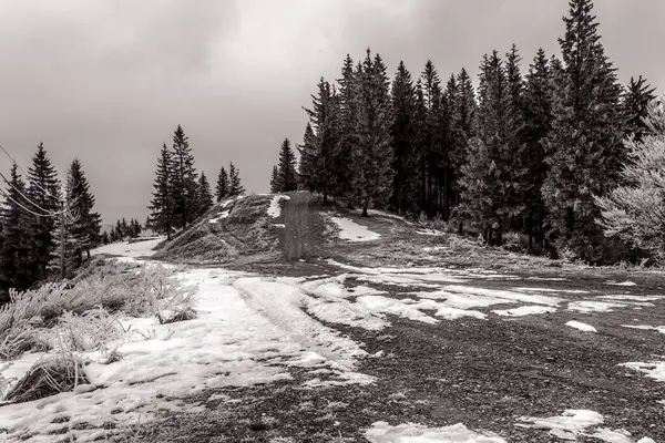 Siyah beyaz dağ manzarası.