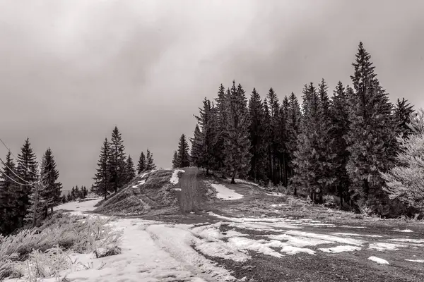 Dağlarda boş bir tahta yolun güzel bir görüntüsü.