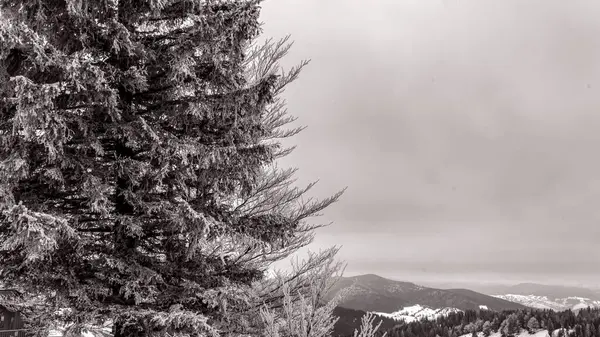 Dağlarda kış manzarası