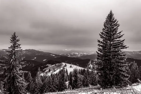 Dağlardaki güzel kış manzarası