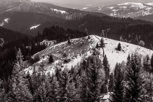 Ağaçlı siyah beyaz dağ manzarası