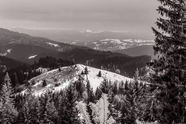 Karpatlar ve Ukrayna 'da güzel kış manzarası.