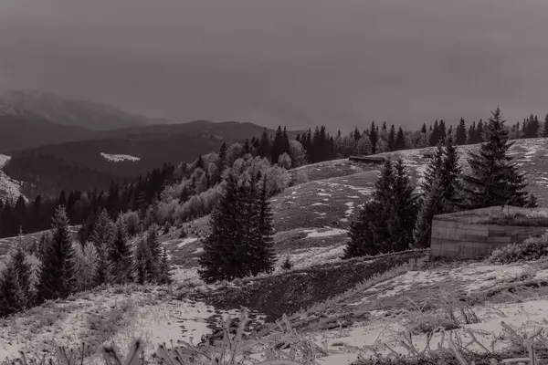 Kışın Karpat Dağları.